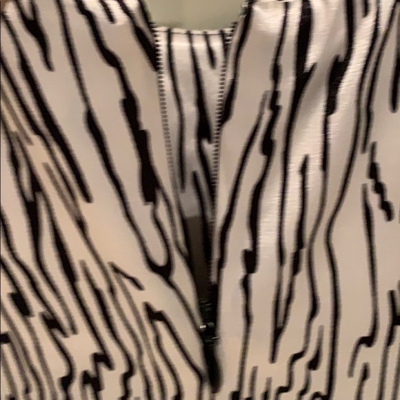 Silky feel  lined zebra print dress size 2 Danier - Picture 7 of 10